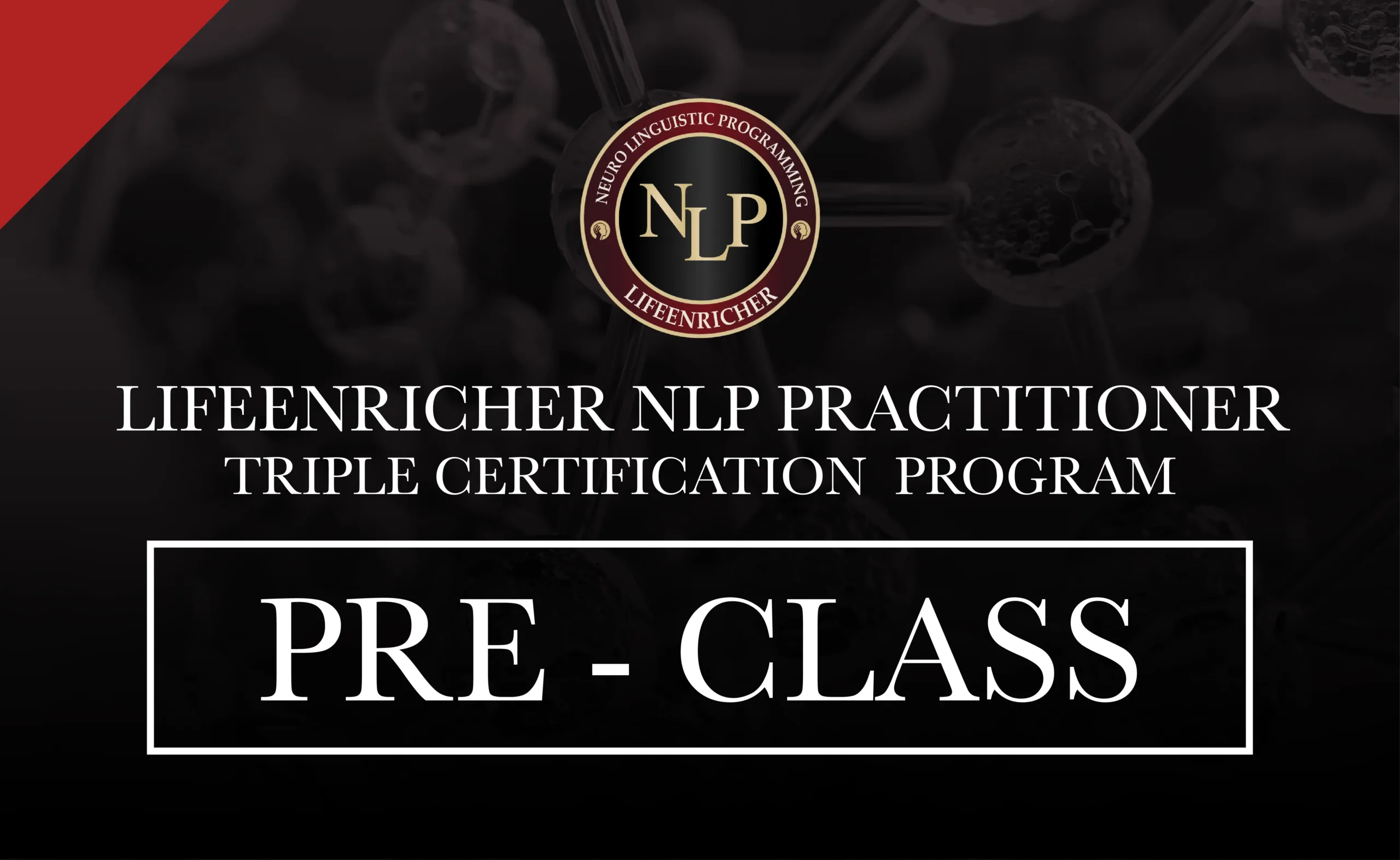 NLP Practitioner Certification Program – PRECLASS